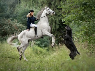 Слагалица #28311