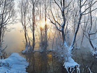 Слагалица #19217