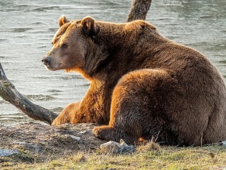 Слагалица #44268