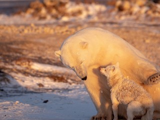 Слагалица #59825