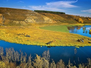 Слагалица #6071