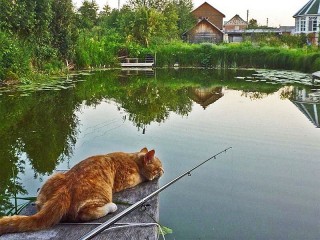 Слагалица #10611