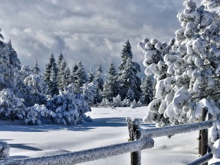 Слагалица #36358