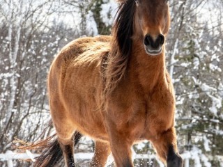 Слагалица #14380