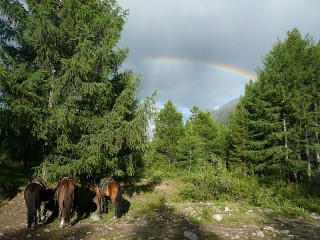 Слагалица #58497