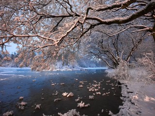 Слагалица #47536