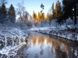 Слагалица #64032