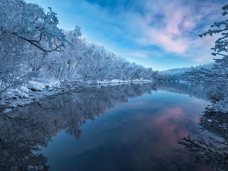 Слагалица #52743