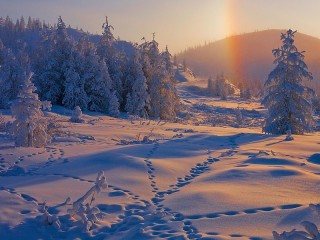 Слагалица #22858